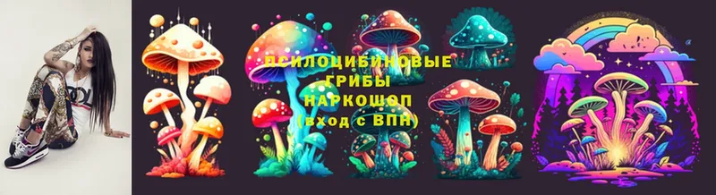 Псилоцибиновые грибы Cubensis  OMG ссылка  Гаджиево 